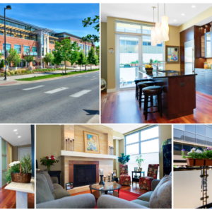 1155 Canyon 301 WEB