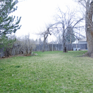Backyard FrontFence 303019thStreet