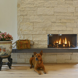 Fireplace Dog Alt